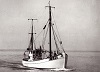 E516